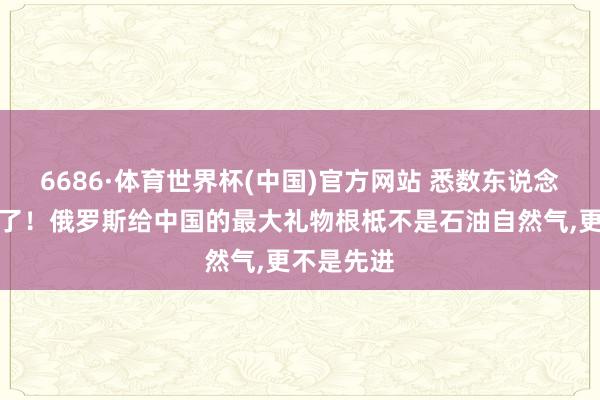 6686·体育世界杯(中国)官方网站 悉数东说念主齐看错了!俄罗斯给中国的最大礼物根柢不是石油自然气,更不是先进