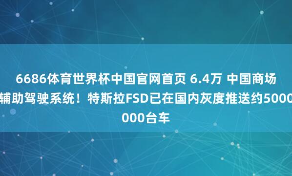 6686体育世界杯中国官网首页 6.4万 中国商场最贵辅助驾驶系统!特斯拉FSD已在国内灰度推送约5000台车