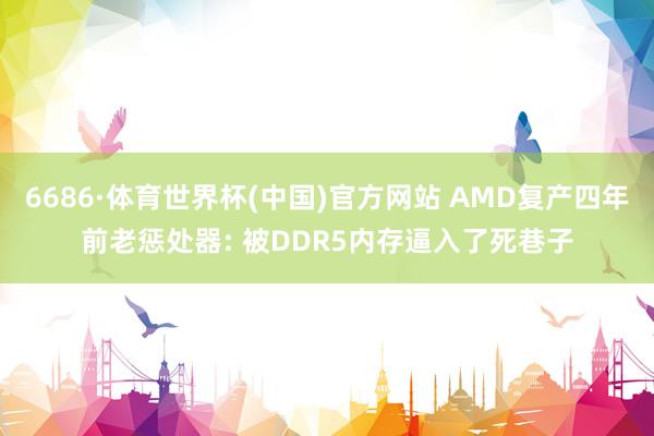 6686·体育世界杯(中国)官方网站 AMD复产四年前老惩处器: 被DDR5内存逼入了死巷子