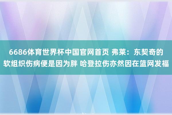 6686体育世界杯中国官网首页 弗莱:东契奇的软组织伤病便是因为胖 哈登拉伤亦然因在篮网发福