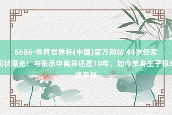 6686·体育世界杯(中国)官方网站 44岁任家萱现状曝光!与张承中离异还是10年,如今单身生子很幸福