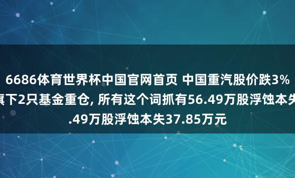 6686体育世界杯中国官网首页 中国重汽股价跌3%, 星河基金旗下2只基金重仓, 所有这个词抓有56.49万股浮蚀本失37.85万元