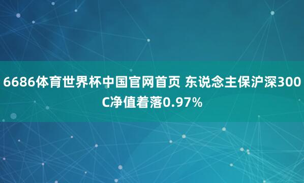 6686体育世界杯中国官网首页 东说念主保沪深300C净值着落0.97%