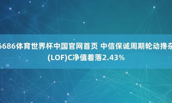 6686体育世界杯中国官网首页 中信保诚周期轮动搀杂(LOF)C净值着落2.43%