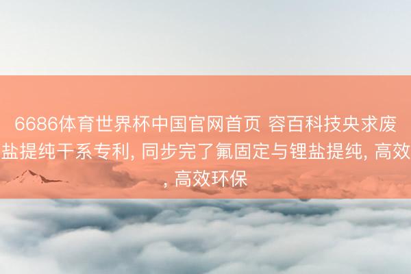 6686体育世界杯中国官网首页 容百科技央求废旧锂盐提纯干系专利, 同步完了氟固定与锂盐提纯, 高效环保