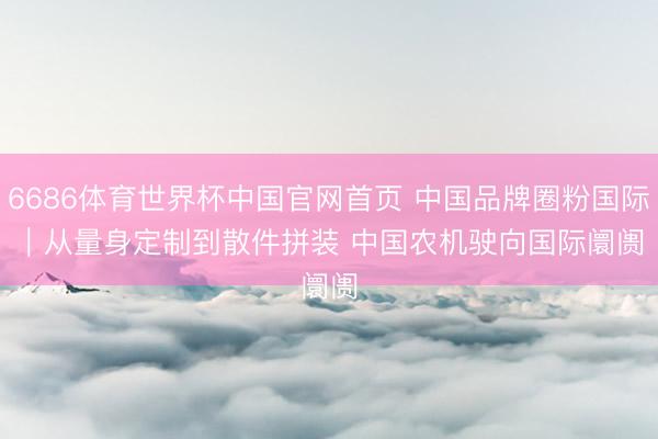 6686体育世界杯中国官网首页 中国品牌圈粉国际|从量身定制到散件拼装 中国农机驶向国际阛阓