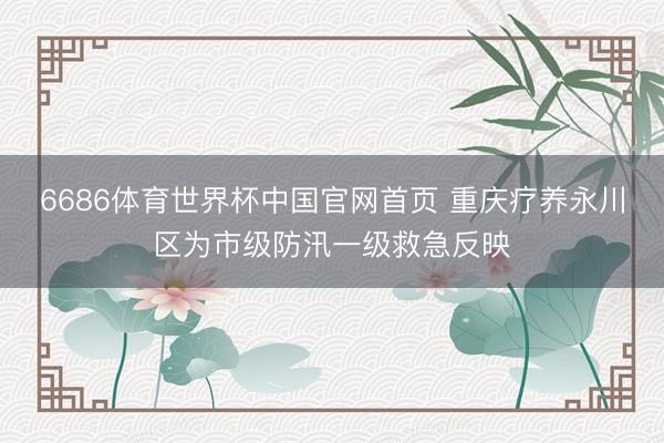 6686体育世界杯中国官网首页 重庆疗养永川区为市级防汛一级救急反映